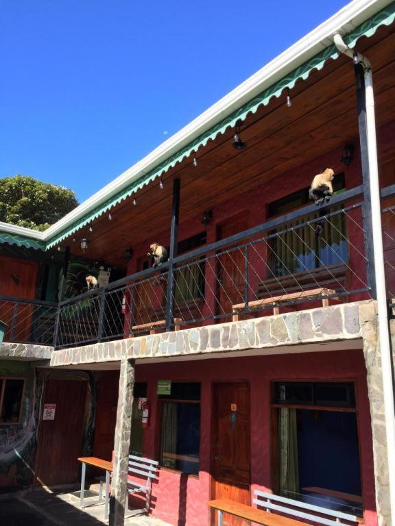 Manakin Lodge, Monteverde Zewnętrze zdjęcie